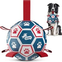QDAN Dog Balls, Herding Balls for Dogs - Red-Blue / Medium Size 2 (6 Inch)