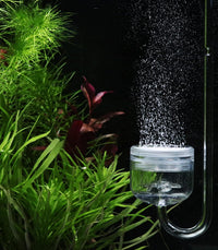 Acrylic CO2 Diffuser with Integrated Bubble Counter for Aquarium - Acrylic diffuser(L) - image 2