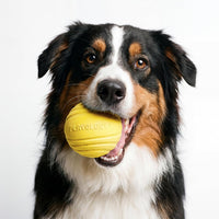 Playology Durable Large Dual Layer Dog Ball, Peanut Butter Scent - Jumbo / Chicken - image 3