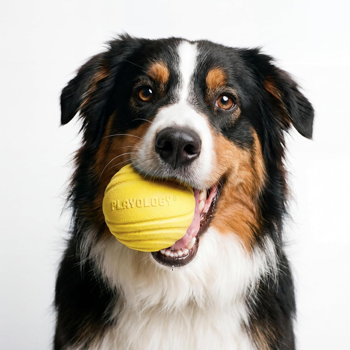 Playology Durable Large Dual Layer Dog Ball, Peanut Butter Scent - Jumbo / Chicken - image 3