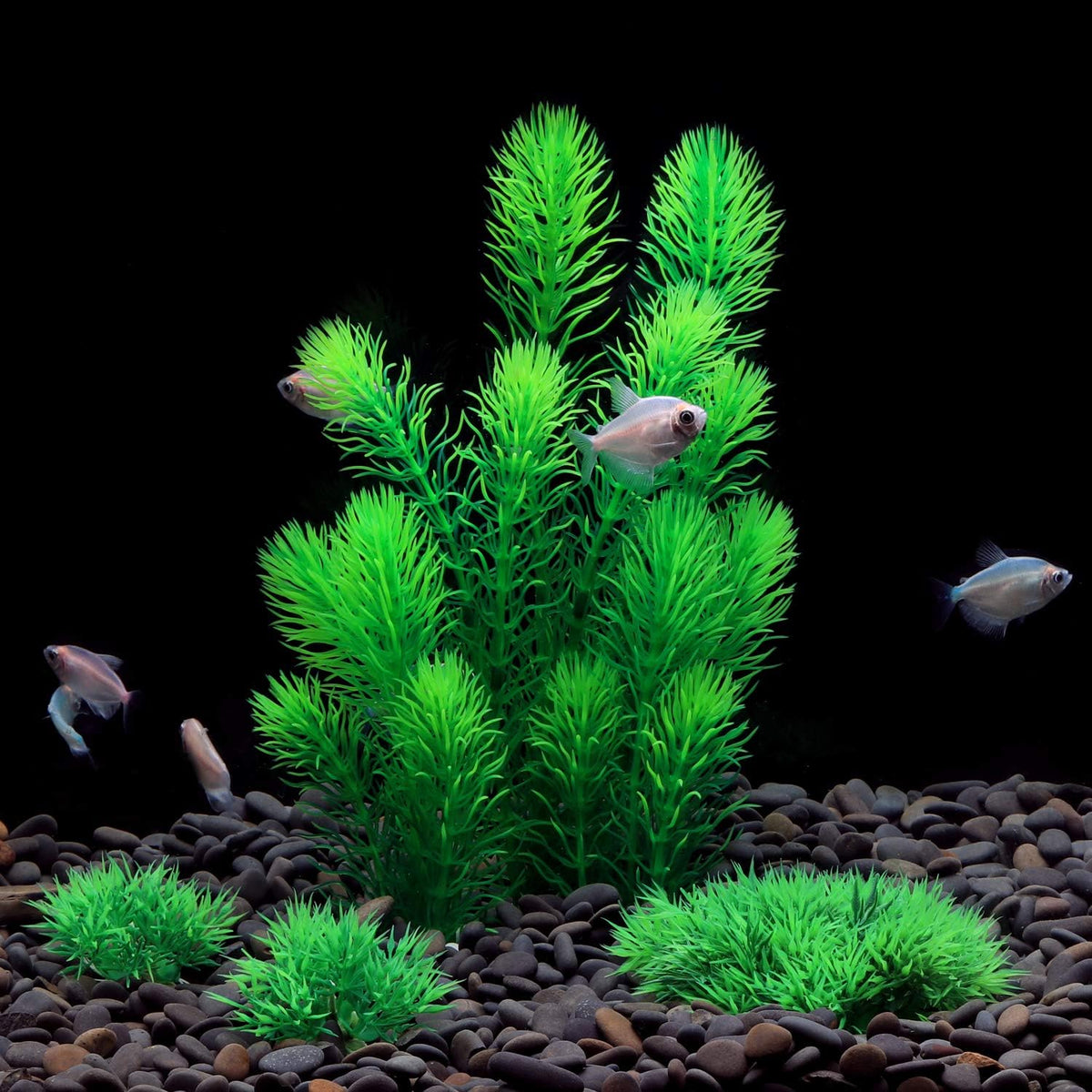 MyLifeUNIT Aquarium Plants - image 2