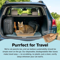 Kitty Sift Disposable Cat Litter Box Large - Litter Box Only / Jumbo (6-Piece Set) - image 3
