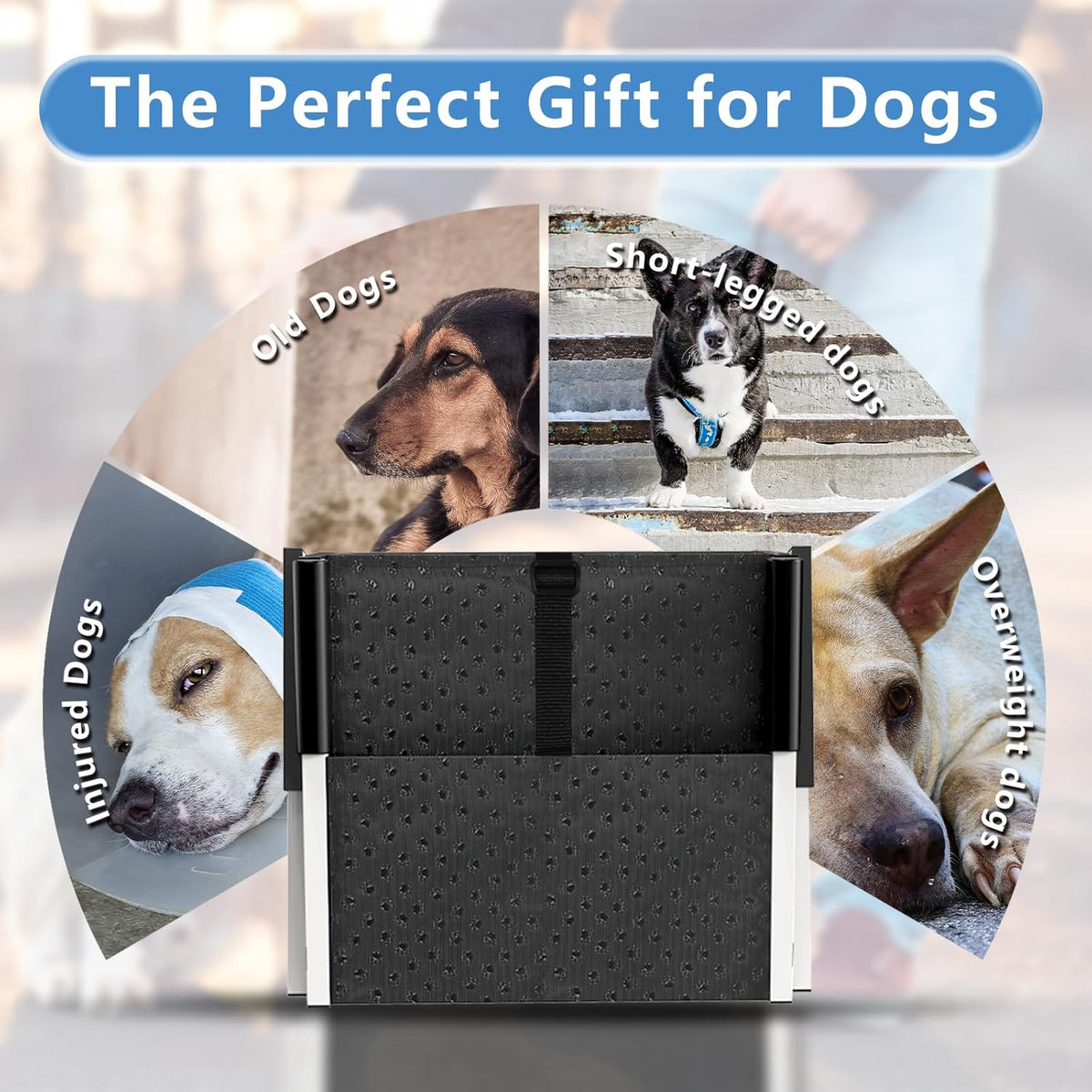 Dog Stairs for Large Dogs - 5-Steps / 16" W x 28-34" H - image 4