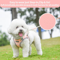 Breathable Dog Harness Small Sized and Leash Set - Pink / M(Chest: 15 - 17") - image 3