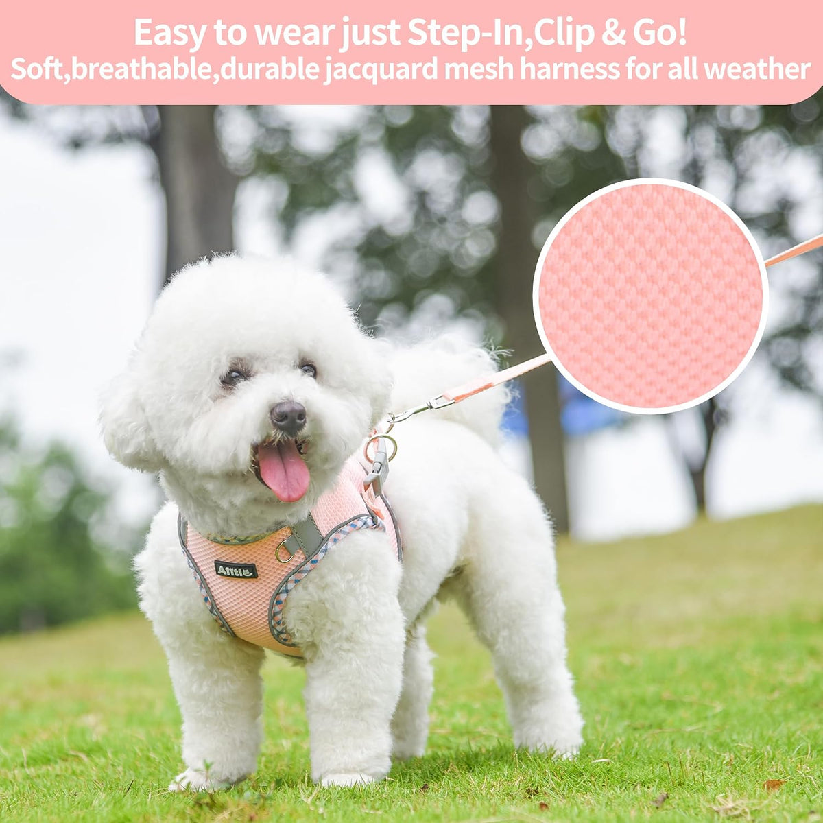 Breathable Dog Harness Small Sized and Leash Set - Pink / M(Chest: 15 - 17") - image 3