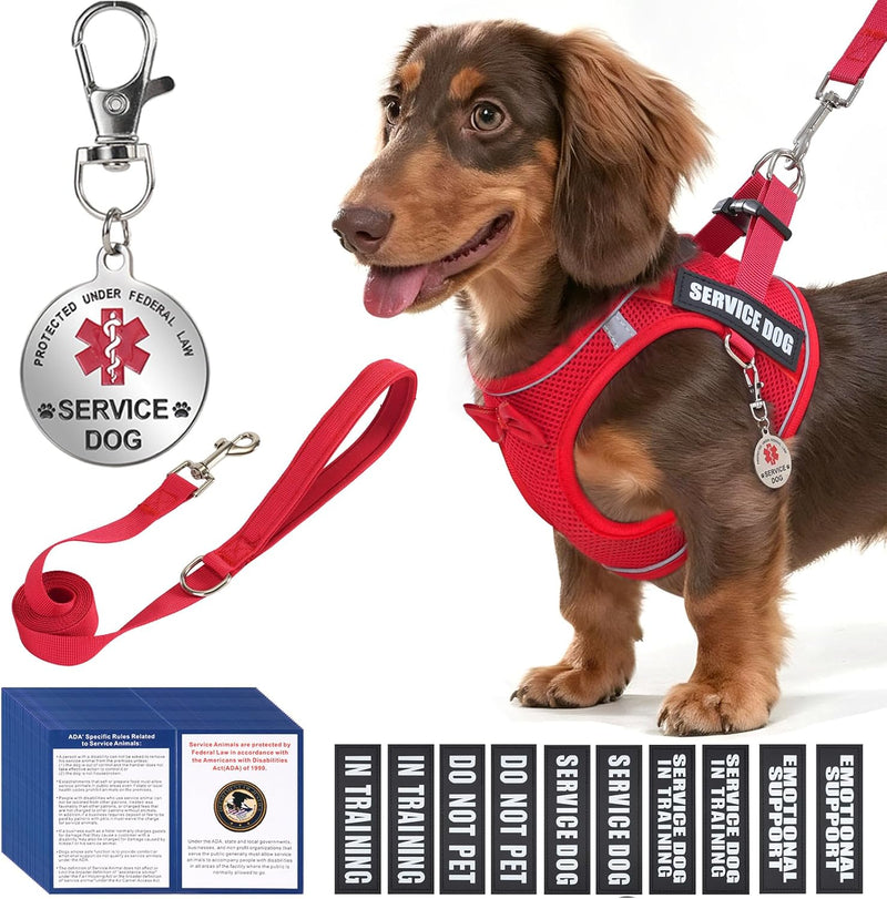 Service Dog Vest Harness for Small Breed Dogs with ID Tag 50 ADA Cards - Red / S