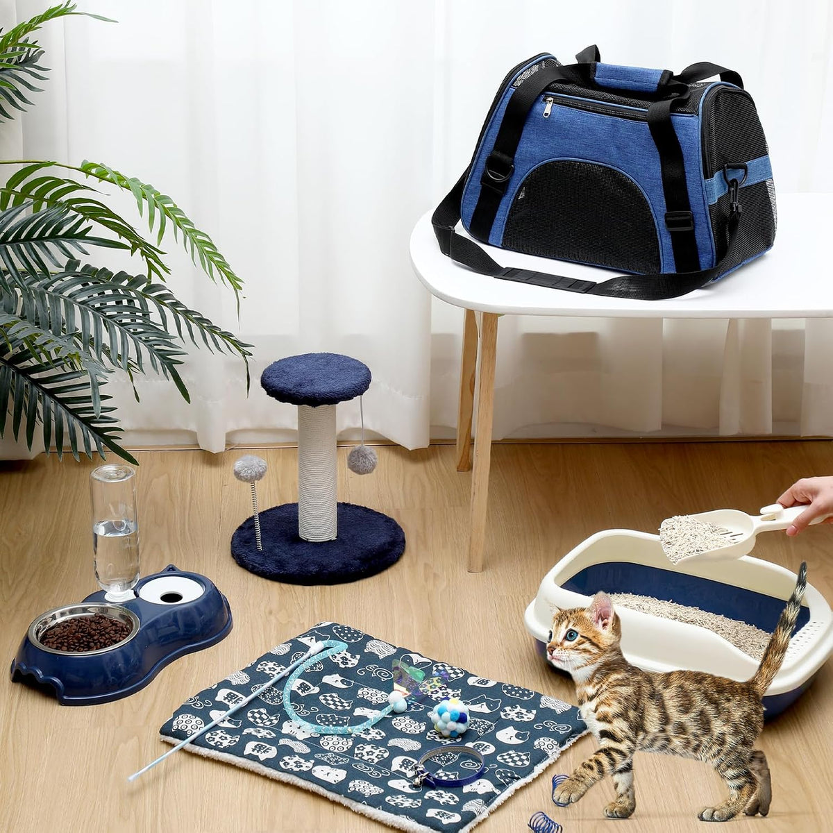 Eccliy 10 Pcs Kitten Starter Kit for Indoor - Classic / Medium / Dark Blue - image 3