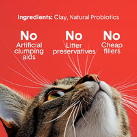 Boxie Premium Unscented Clumping Cat Litter 30+ Day Odor Control – Daily Care for Cats - Extra Strength / 40 lb - image 4