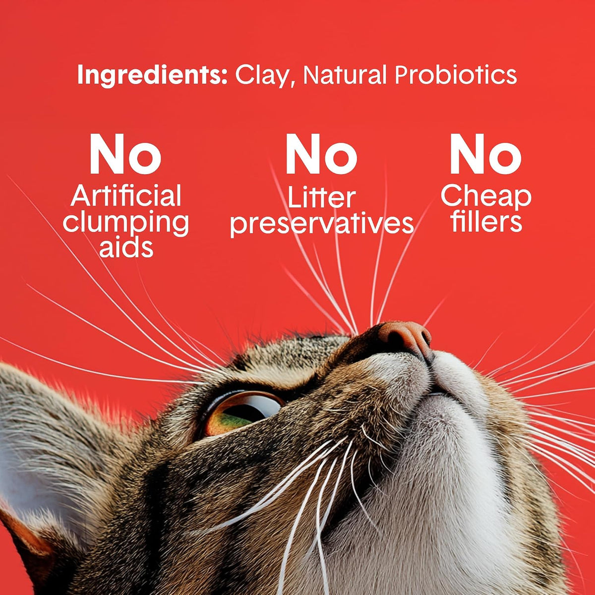 Boxie Premium Unscented Clumping Cat Litter 30+ Day Odor Control – Daily Care for Cats - Extra Strength / 40 lb - image 4