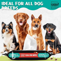 Shoo! Flea & Tick Wipes for Dogs | Convenient, Easy On-The-Go Protection | Plant Based, Natural Oils, Chemical Free | Repels & Prevents | 50 XL Wipes (2 Pack) | Original -Lavender