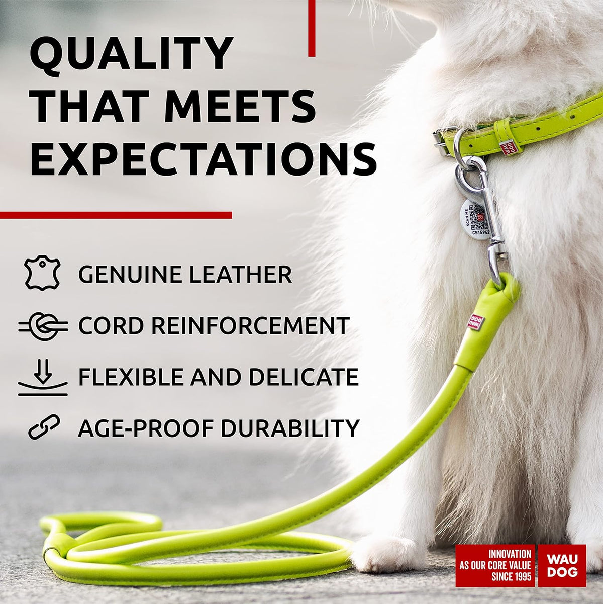 WAUDOG Rolled Leather Dog Leash 4Ft * 0.3 in for Small Medium - Green / 4Ft * 0.3 in - image 3