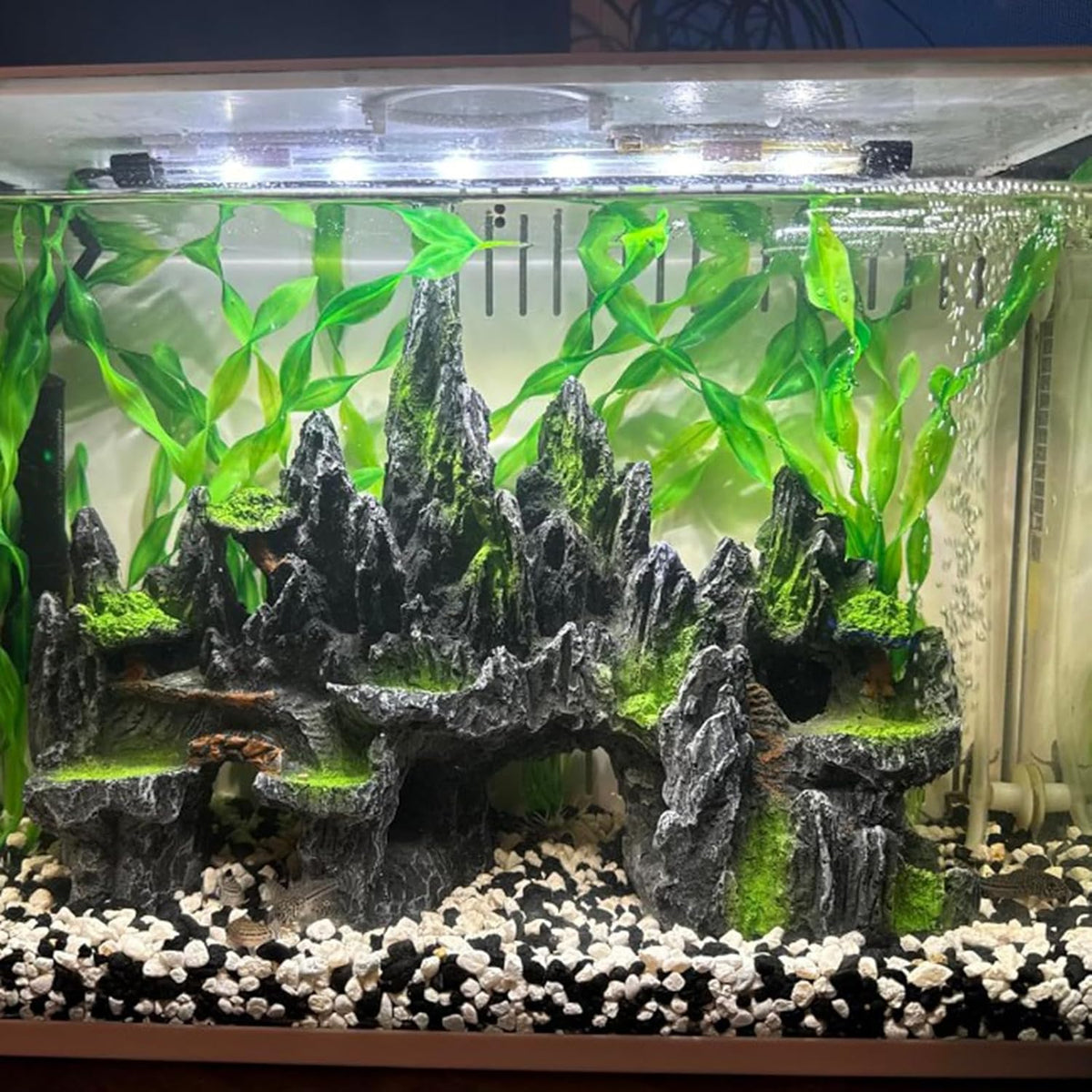 PakyKai Large Fish Tank Decorations - image 3
