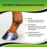 SynoStride All Natural, All-in-one, Joint and Hoof Health Supplement for Horses, Powder with Glucosamine, Chondroitin, Hyaluronic Acid, Biotin, Methionine, Trace Minerals, Made in USA (1080 Grams)