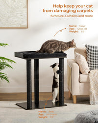 Modern Cat Tree for Large Cats, Full Sisal Cat Scratching Post – Essentials for Cats - Black / 22"L x 15.7"W x 26.7"H - image 2