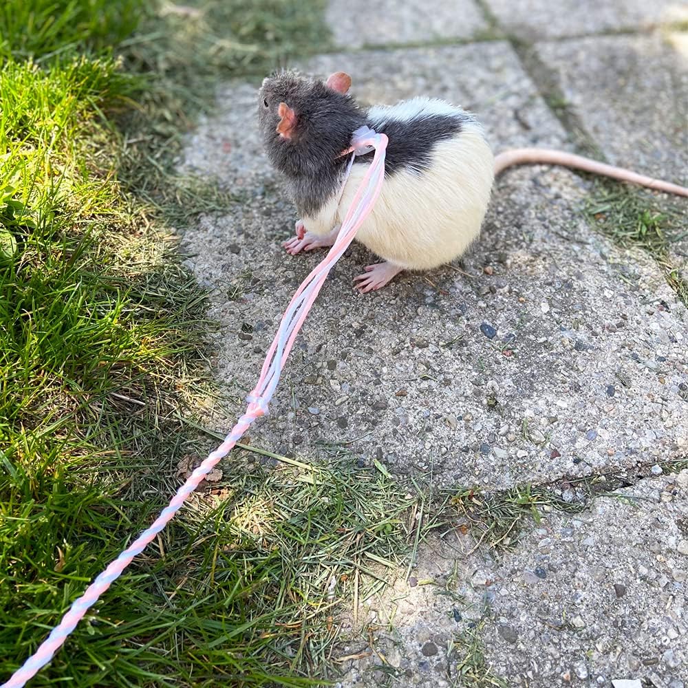 3 Pack Adjustable Hamster Leash Harness - image 3