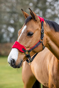 LeMieux Vogue Fleece Headcollar - Halter & Leadrope - Extra Padding, Adjustable at Curb and Poll Strap