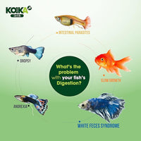 KOIKA BAC+ Aquarium Probiotics, Immunity Boosting, Disease Resistance & Improve The Digestive System (BAC+,120ml)