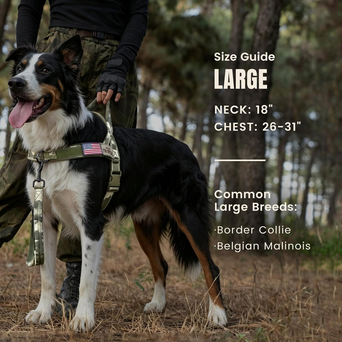 Forestpaw No Pull Dog Harness with Large Handle, Comfortable, L - L: Chest 26-31", Fit 50-80 lbs / Green Camo - image 4