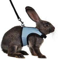 Niteangel Adjustable Soft Harness with Elastic Leash for Rabbits – Essentials for Small Pets - M / Blue