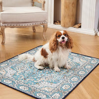 Qeils Washable Pee Pads for Dogs, 2 Pack Reusable Puppy Pads 36"x41" Super Absorbent Leakproof Dog Training Pads, Non-Slip Potty Pads for Floor, Crate, Couch, Whelping Pads Litter Mat Pet Supplies
