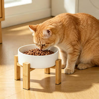 Elevated Cat Water Bowl, Ceramic Raised Cat Food Bowl with Adjustable Bamboo Stand, 5.1" Compact - Small / White