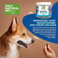 Only Natural Pet Skin Wellness Soft Chew 60 Count
