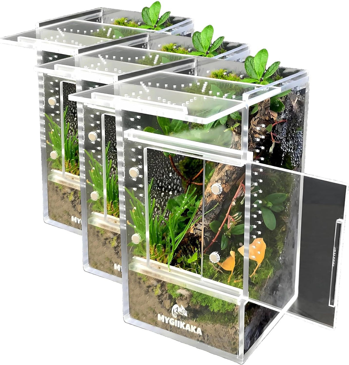 MYGIIKAKA Jumping Spider Enclosure Accessories - 3x3x6 inch (Pack of 3)