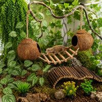 RUNANIA Crested Gecko Tank Accessories，Reptile Vines Plants - Large - image 2