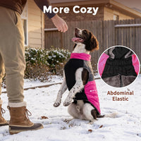 Winter Dog Coats for Small Dogs, Puppy Jacket with Harness - Pink(Standard) / Large - image 3