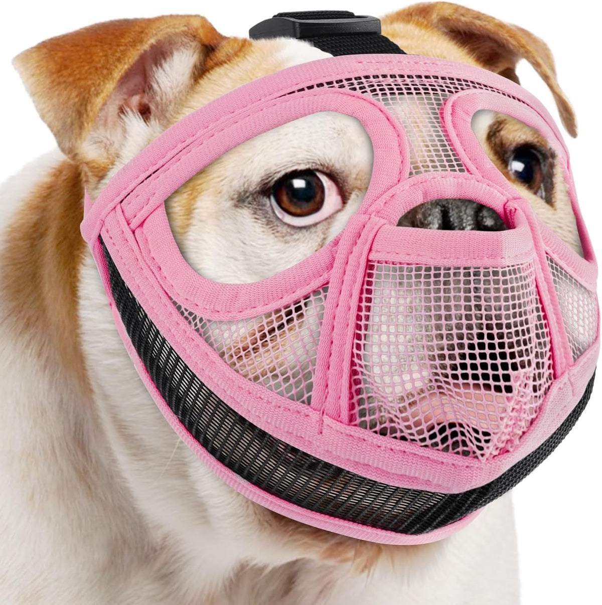 Mesh Short Snout Dog Muzzle with Anti-Eating Design for Frenchie – Essentials for Dogs - Pink / L [Head Cir: 20.5"-23"]