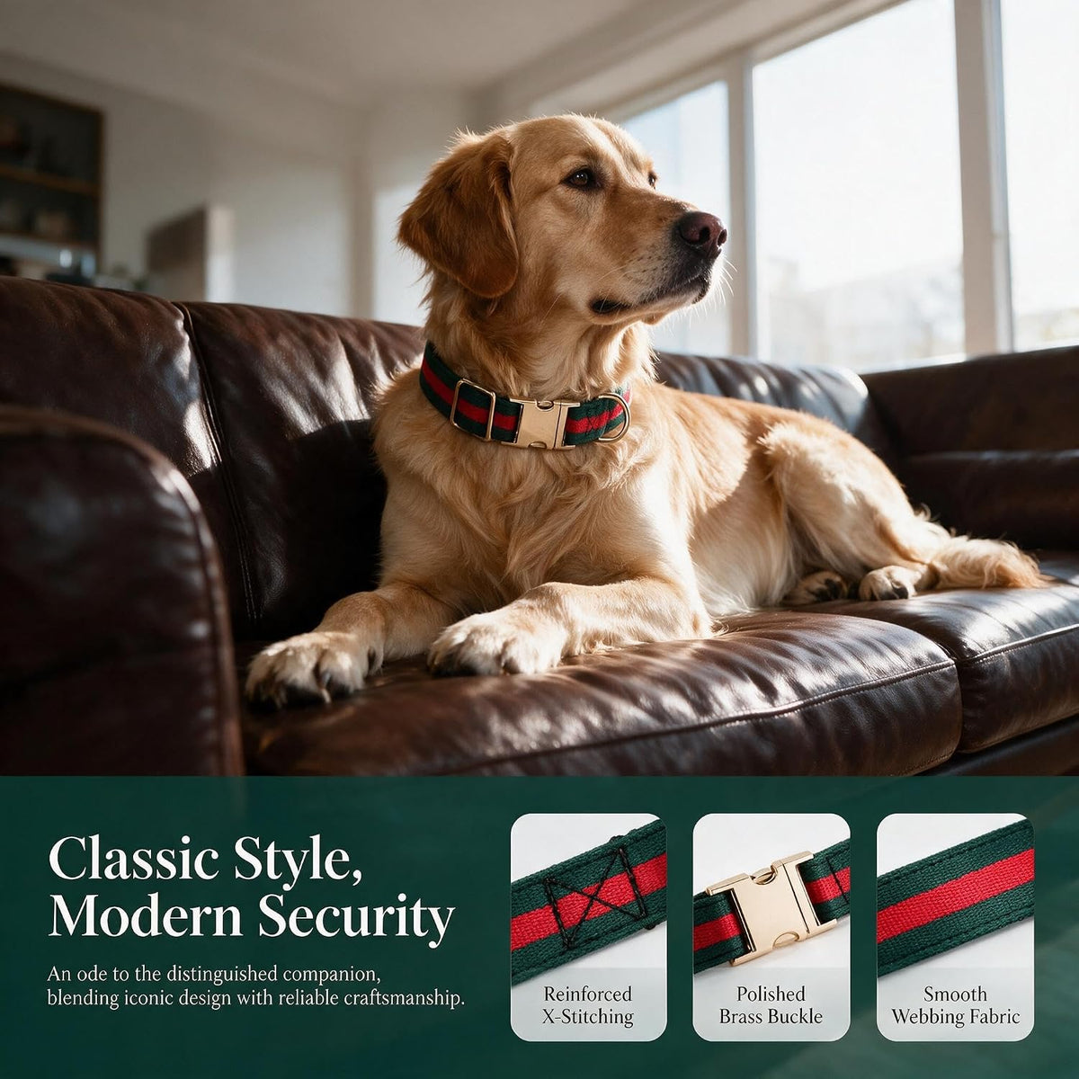 Premium Dog Collar, Cute Dog Collars Luxury Style - image 2