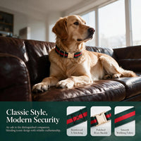 Premium Dog Collar, Cute Dog Collars Luxury Style - image 2
