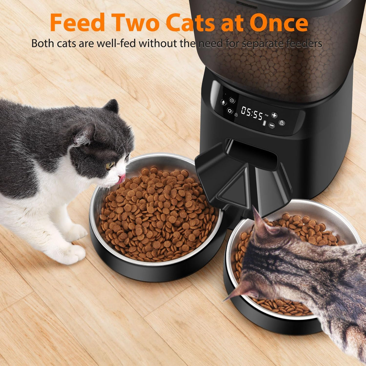 Automatic Cat Feeders for Two Cats - Black / Manual - image 2