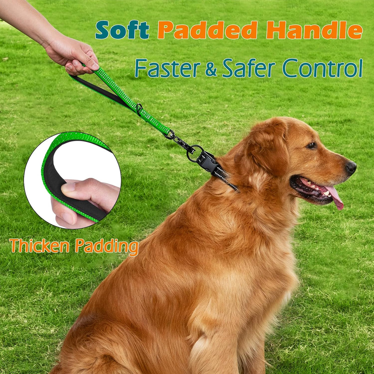 Heavy Duty Short Dog Leash - Grass Green / 12 Inch - image 3