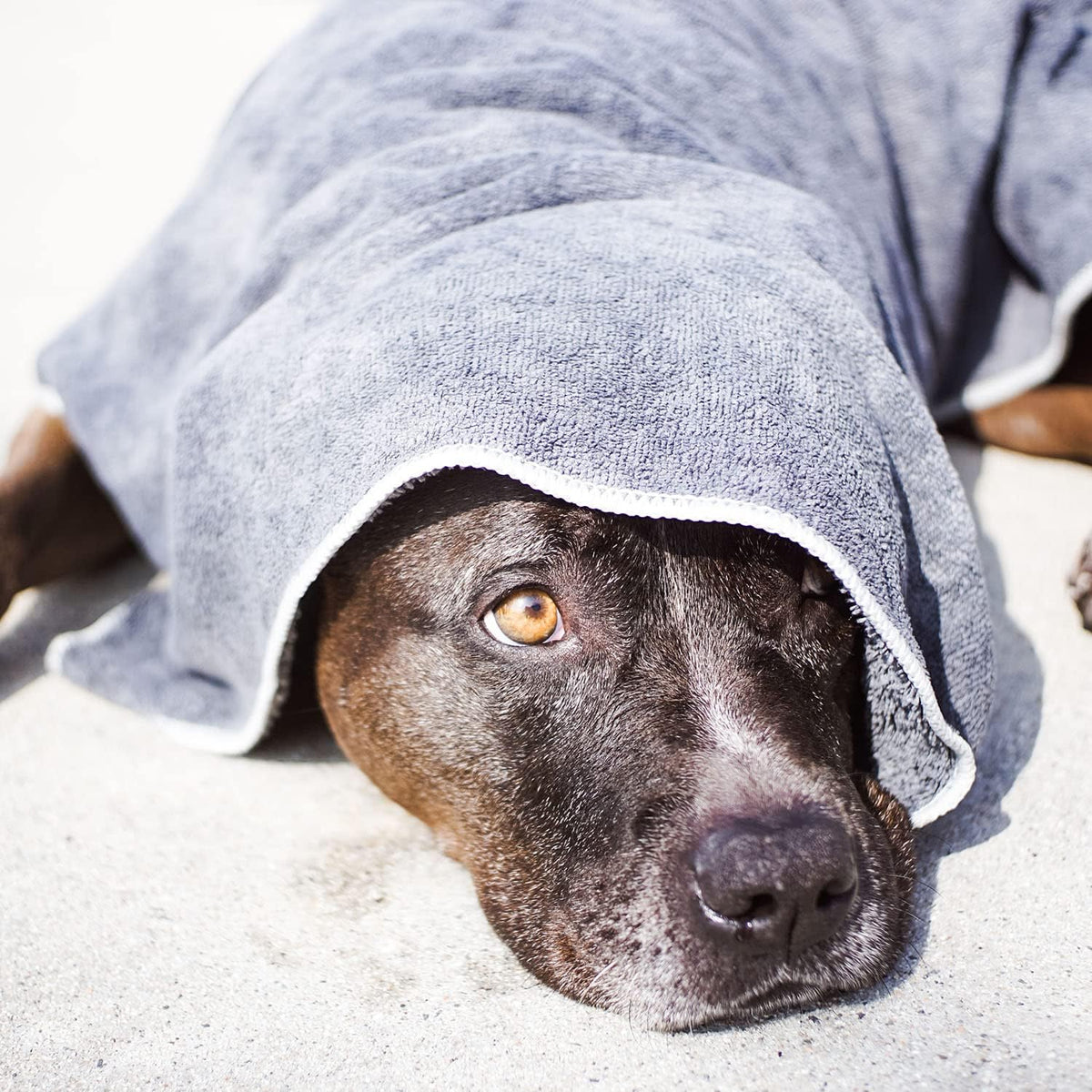 Wooflinen Microfiber Pet Bath Towel, Ultra-Absorbent - image 2