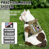 WINSEE Service Dog in Training Harness with 5 PCS Patches, Reflective Tactical Dog Vest Harness, Adjustable Soft Oxford Pet Harness with Easy Control Handle, Hook & Loop Panels for Walking Hiking
