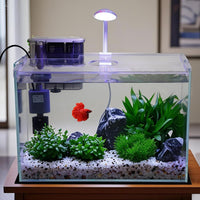 Vimvins 5 Gallon Glass Small Fish Tank with Filter Light and Lid - 5 Gallon - image 3
