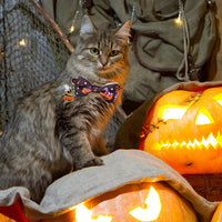 LLHK 4 Pack Halloween Cat Collar with Bow Tie and Bell - Halloween - image 2