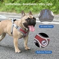 Dog Harness with Leash Set, No Pull Adjustable Step in Pet Vest – Essentials for Dogs - Red / L - image 2
