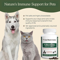Real Mushrooms Turkey Tail Capsules for Pets –Cat Probiotics & Dog Vitamins – Organic Mushroom Supplement for Dogs & Cats – Supports Daily Balance & Well-Being Non-GMO, 90 ct