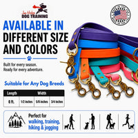 Biothane Leash, Brass, 6 ft x 5/8, Black – Essentials for Dogs - 3/4 / Light Blue - image 2