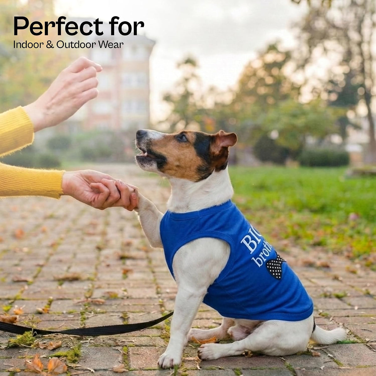 Parisian Pet Dog Shirt, 100% Cotton Shirts for Medium Dogs - Big Brother / Large (12-18lbs) - image 4
