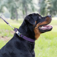 Dogline Biothane Waterproof Dog Collar with Herm Sprenger Black Stainless Steel Quick Release Buckle – Heavy Duty Tactical Durable Collar for Dogs – Comfortable and Safe Pet Collar W1 L 15-25" Purple