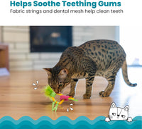 Catstages Strawbabies Dental Cat Chew Toy with Catnip & Feathers - Pineapple - image 2