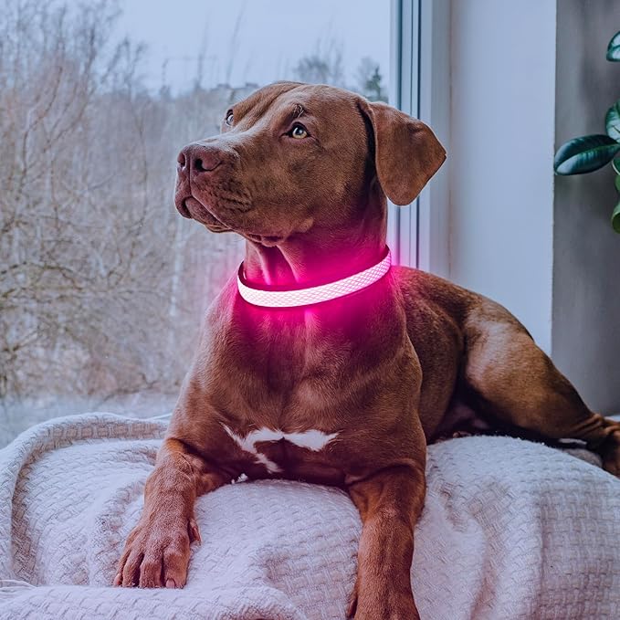 Flashseen LED Dog Collar, Light Up Dog Collar USB Rechargeable, Brightest Dog Lights for Night Walking, Adjustable Dog Collar Light for Dog Safety(Small, Candy Pink)