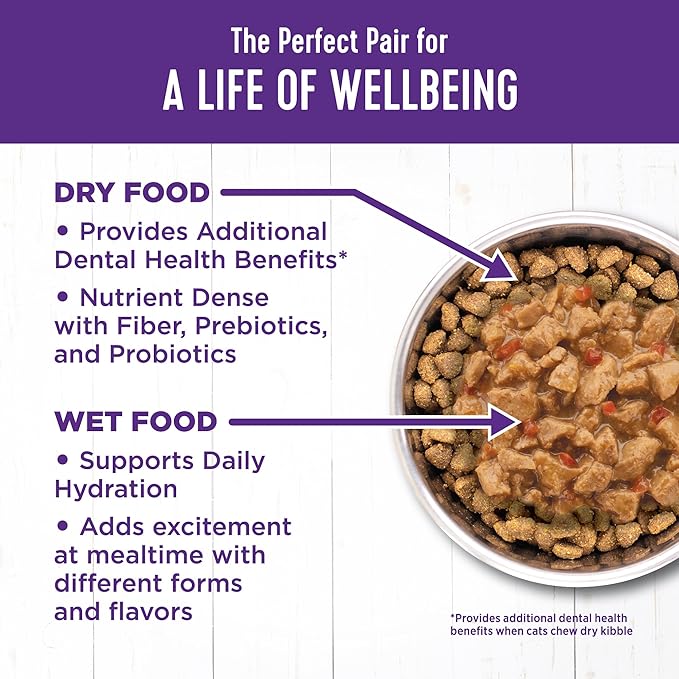 Wellness Complete Health Gravy and Minced Adult Wet Cat Food, Natural, Protein-Rich, Grain-Free, 3 Ounce, 12 Pack, (Chicken & Turkey Lovers Variety Pack)