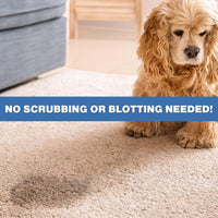 Instantly Pet Urine Odor Remover, Cleaner, Neutralizer - image 4