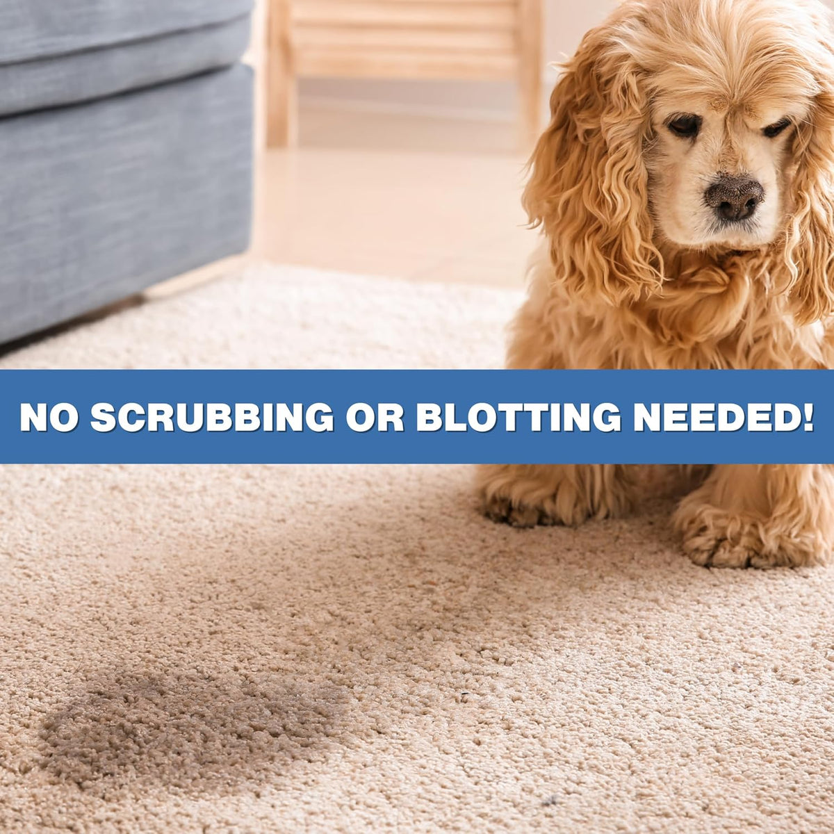 Instantly Pet Urine Odor Remover, Cleaner, Neutralizer - image 4