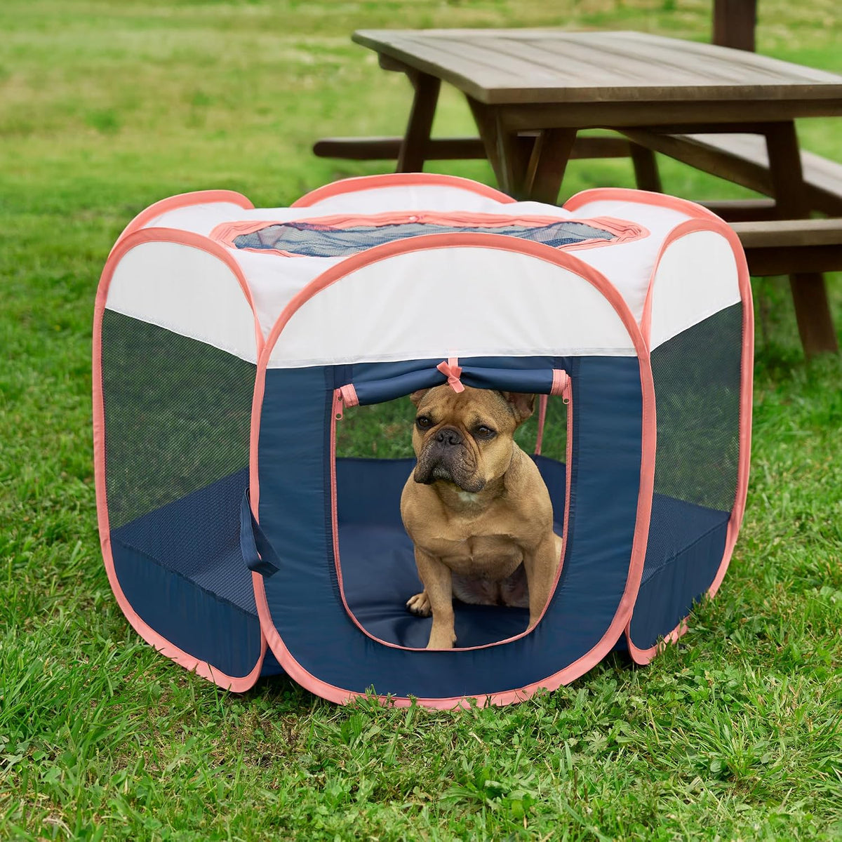 FurHaven Soft-Sided Dog & Cat Playpen - Navy / Small - image 2