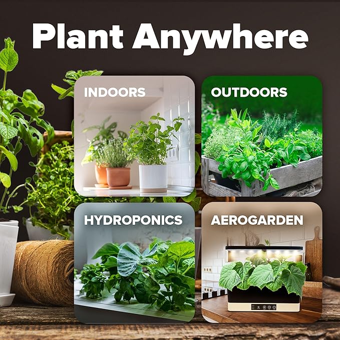 HOME GROWN 𝗨𝗦𝗔 𝗣𝗥𝗘𝗠𝗜𝗨𝗠 10 Variety Vegetable 2,000+ 𝗡𝗢𝗡-𝗚𝗠𝗢 Seeds (Kale Lettuce Tomato Broccoli Beans Peas Bell Peppers Carrot Cucumber Radish) – Indoor & Outdoor Garden Survival Seeds